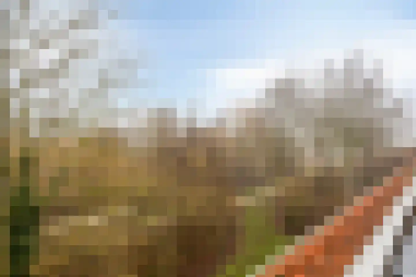 Hageweg "'t Centrum" 58 Bruinisse thumbnail 13