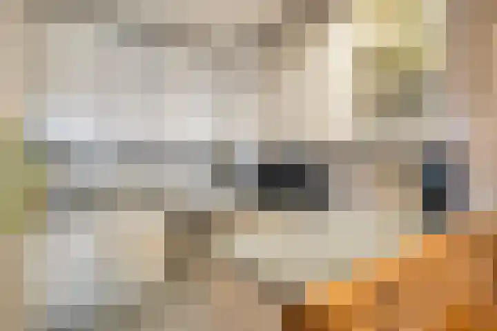 Hageweg "'t Centrum" 58 Bruinisse thumbnail 7