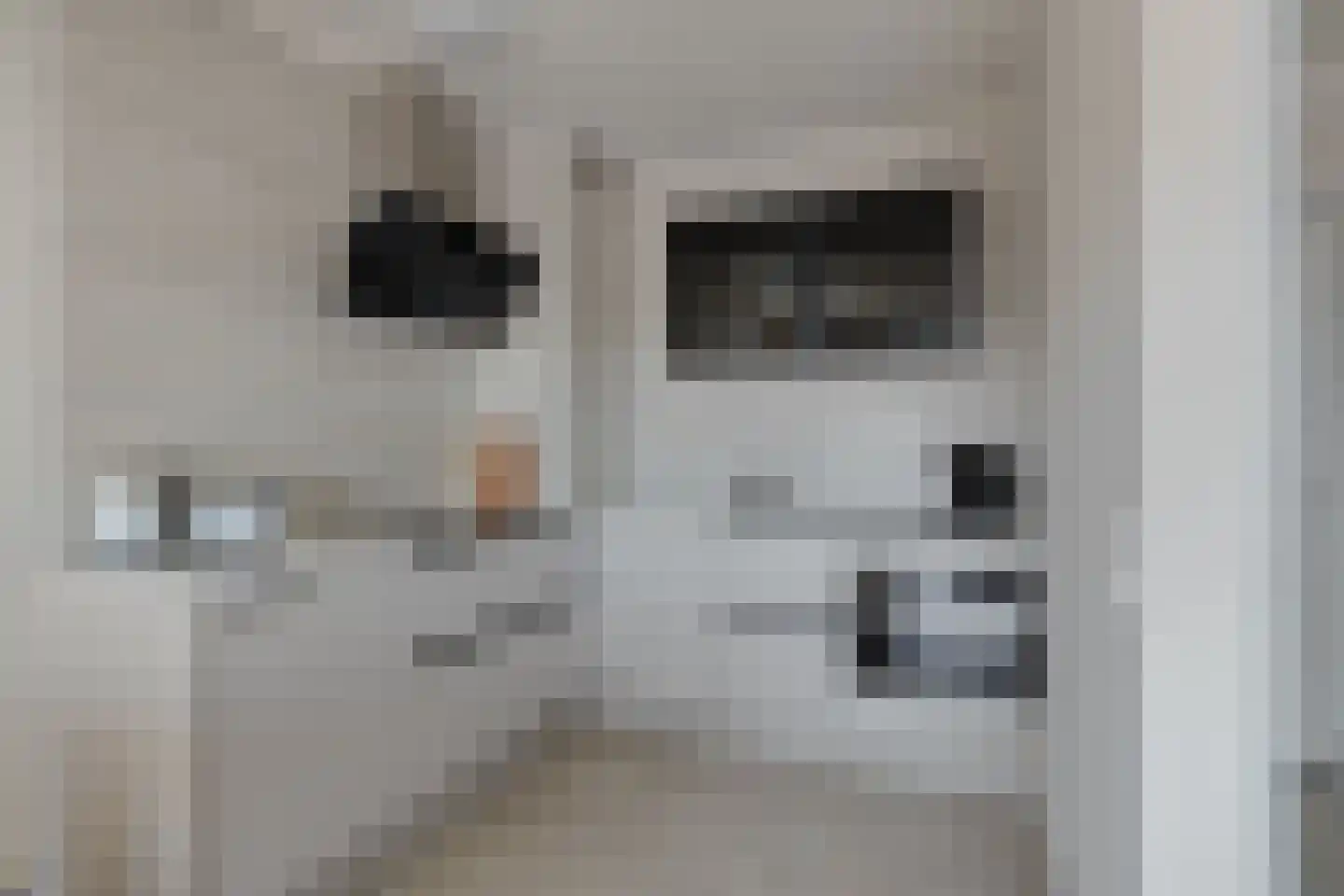 Hageweg "'t Centrum" 64 Bruinisse thumbnail 13