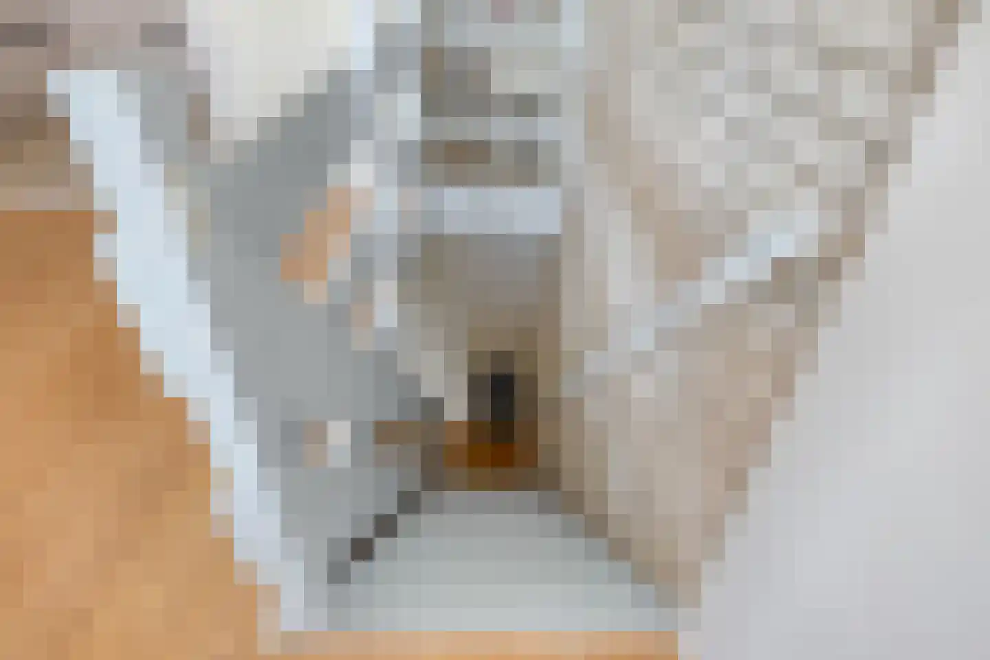 Hageweg "'t Centrum" 64 Bruinisse thumbnail 22