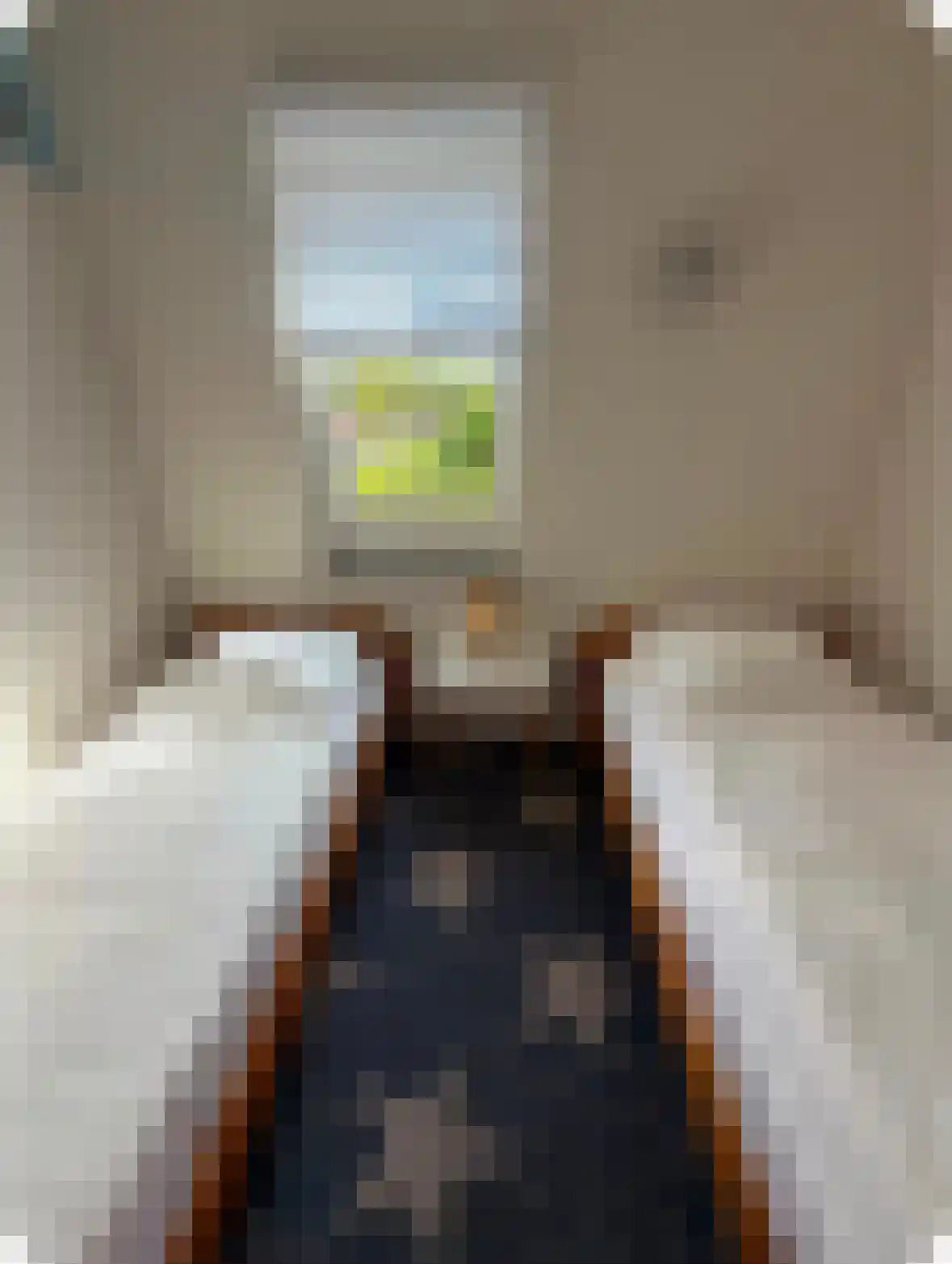Hageweg "'t Centrum" 64 Bruinisse thumbnail 30