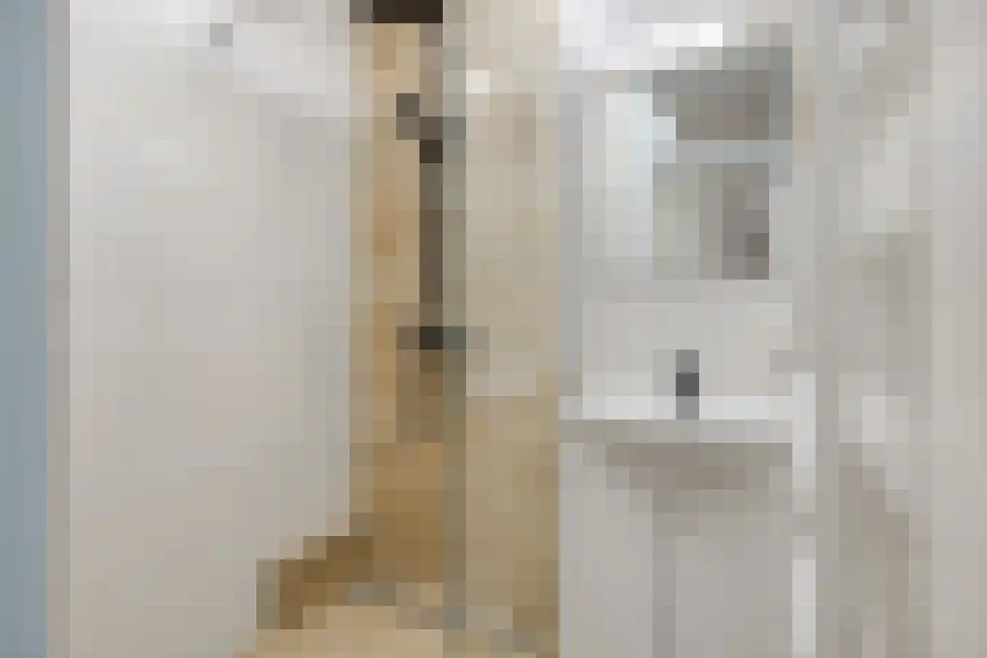 Hageweg "'t Centrum" 64 Bruinisse thumbnail 4