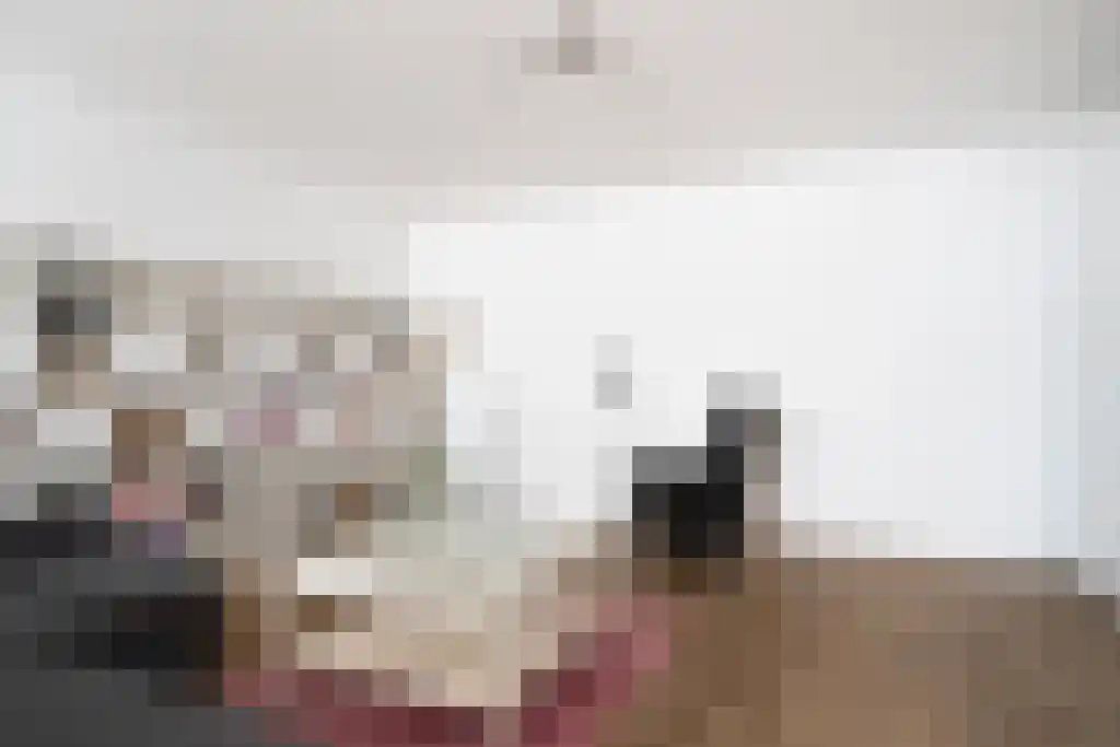 Hageweijer 19 Veldhoven thumbnail 20