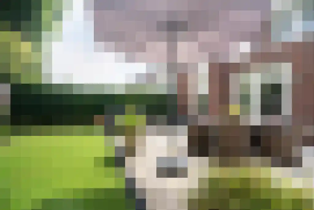 Hageweijer 19 Veldhoven thumbnail 36