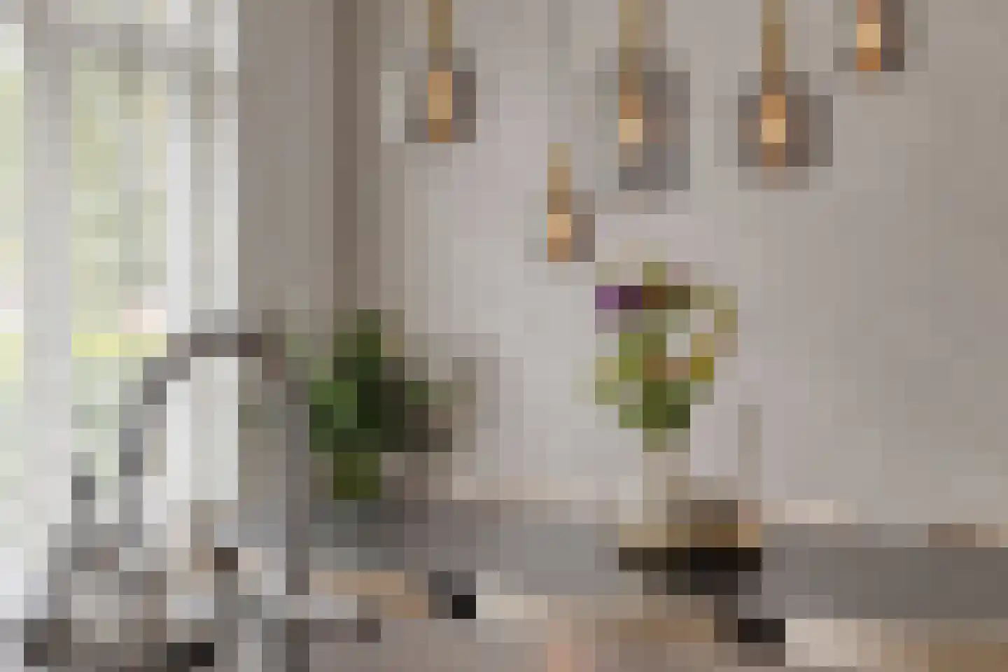 Hageweijer 2 Veldhoven thumbnail 17