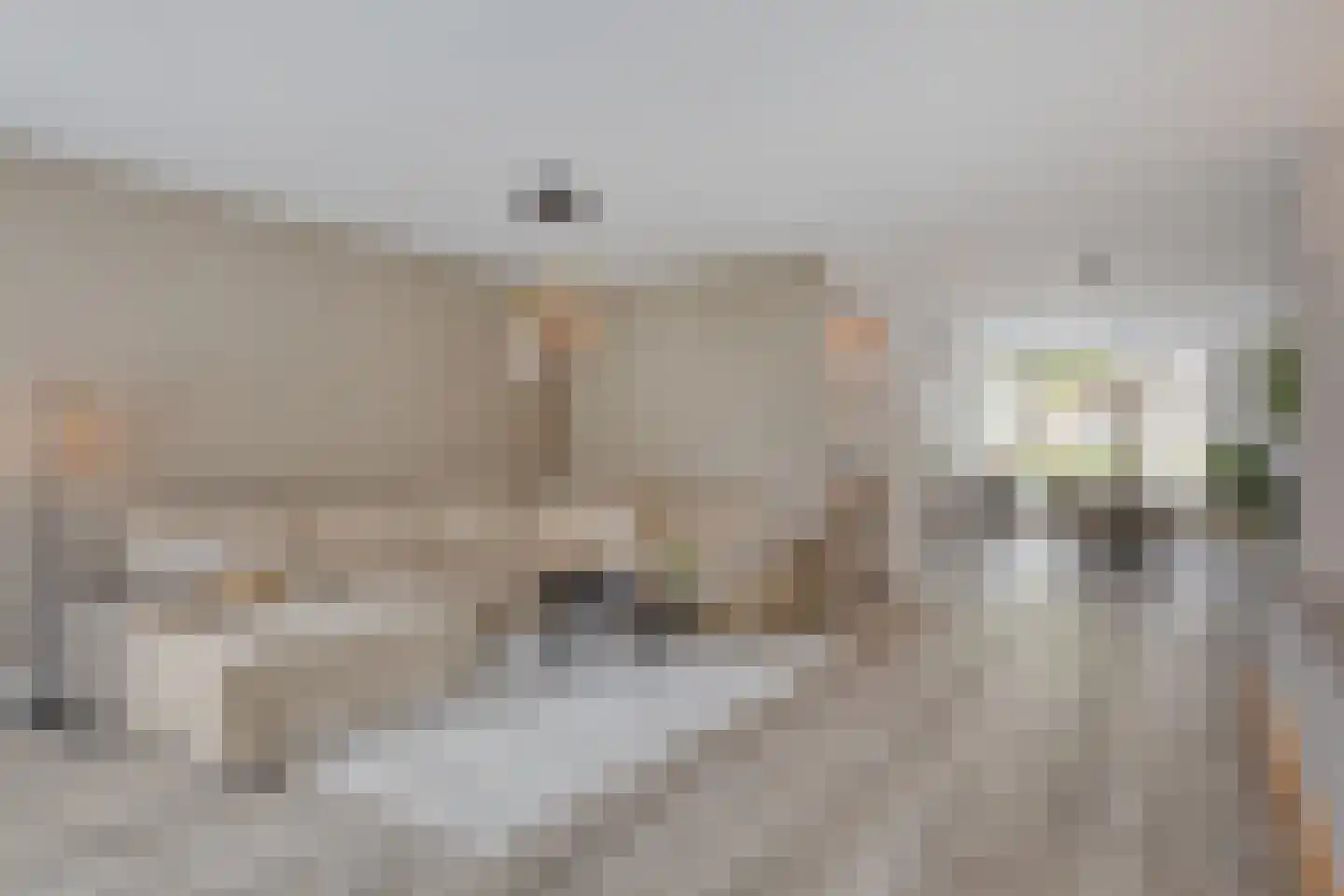 Hageweijer 2 Veldhoven thumbnail 4