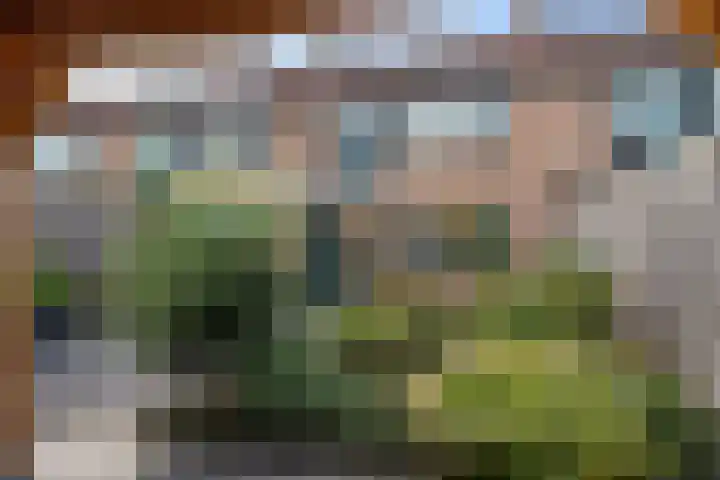 Hagewyk 35 Drachten thumbnail 37