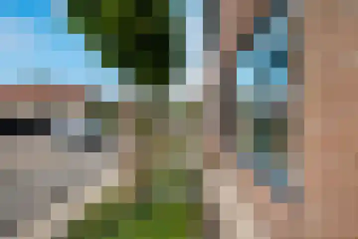 Hagewyk 35 Drachten thumbnail 38