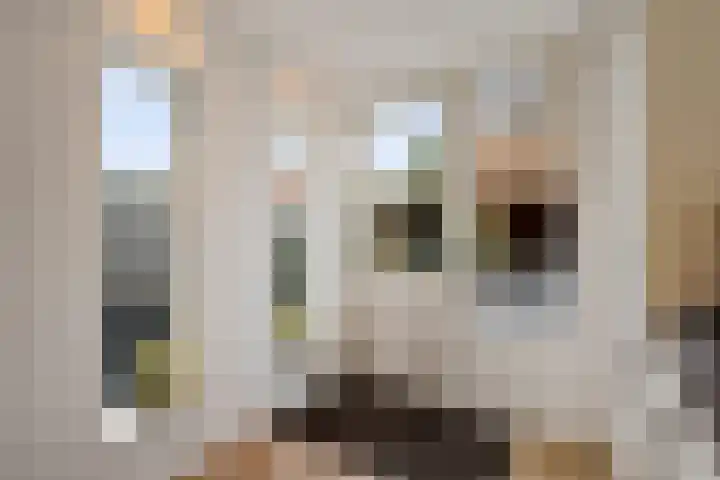 Hagewyk 35 Drachten thumbnail 8