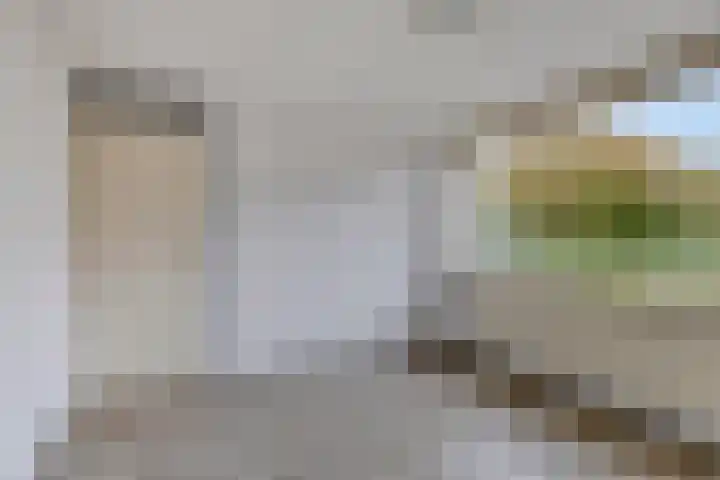 Hagewyk 38 Drachten thumbnail 31