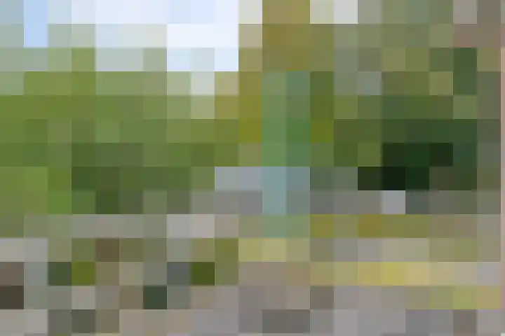 Hagewyk 38 Drachten thumbnail 37