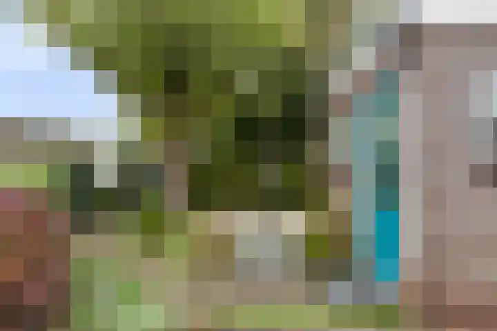 Hagewyk 38 Drachten thumbnail 43
