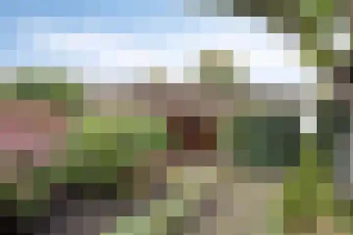 Hagewyk 38 Drachten thumbnail 46