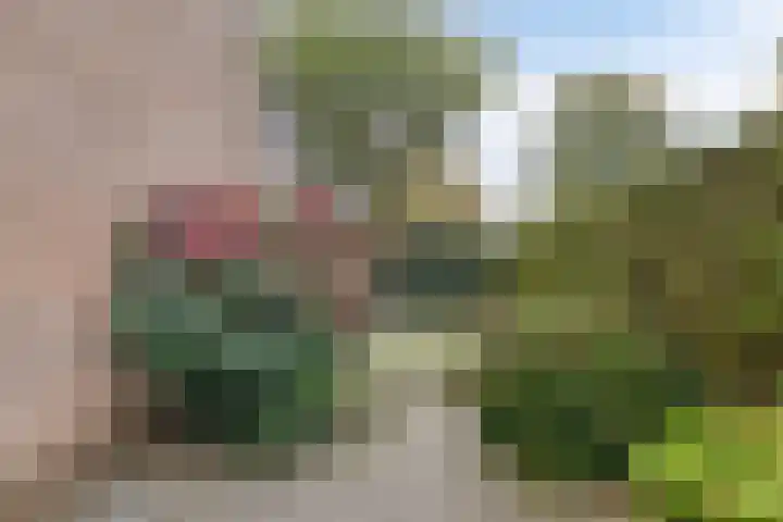 Hagewyk 38 Drachten thumbnail 49