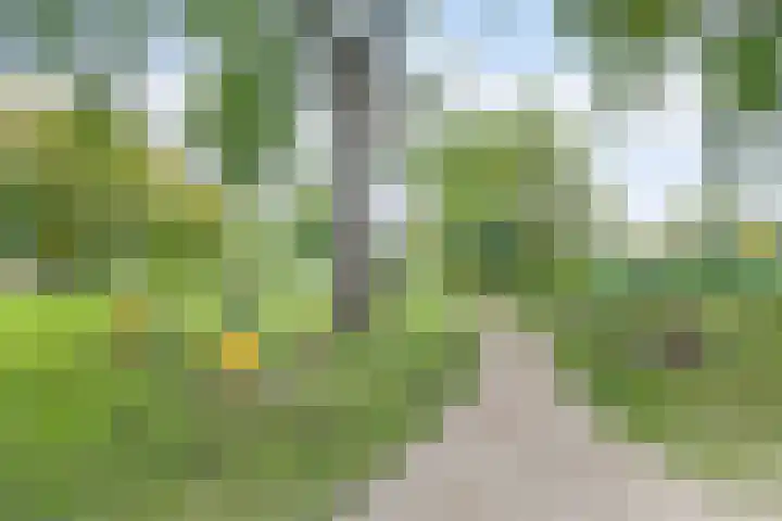 Hagewyk 38 Drachten thumbnail 56
