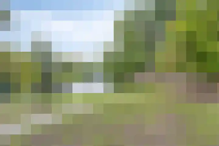 Hagewyk 38 Drachten thumbnail 57