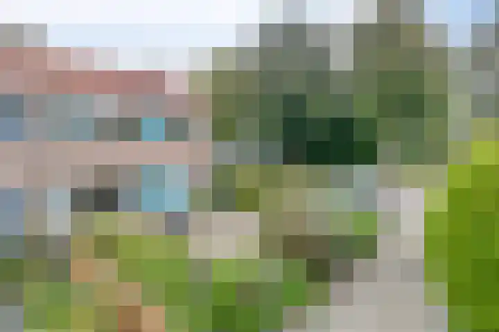 Hagewyk 38 Drachten thumbnail 6
