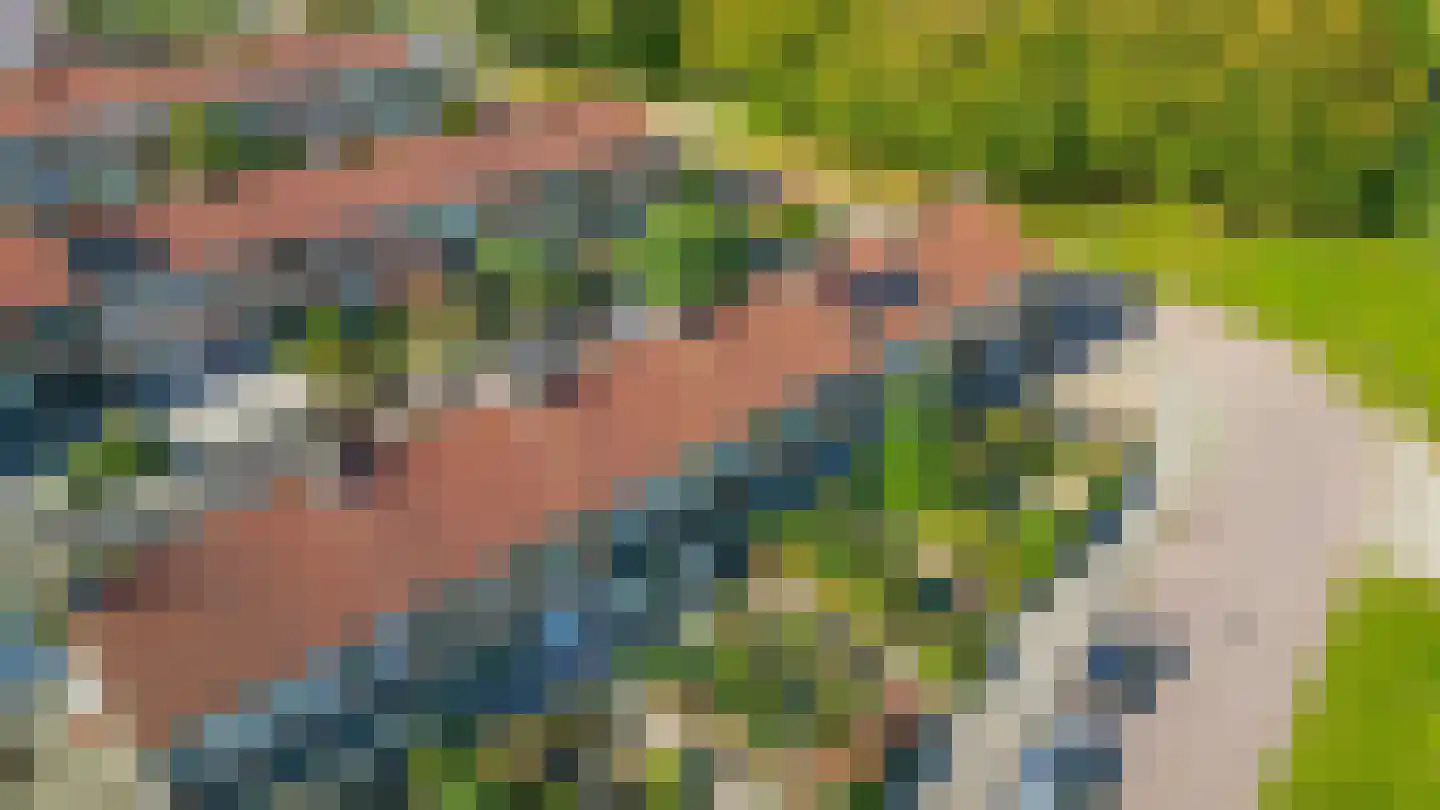 Hagewyk 68 Drachten thumbnail 38