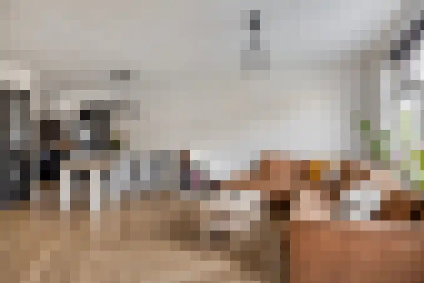 Haghoeksweg 10 Almelo thumbnail 10