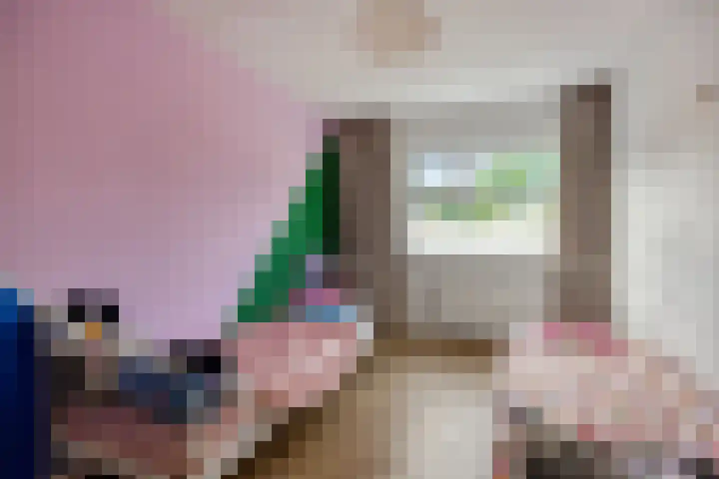 Haghoeksweg 10 Almelo thumbnail 23