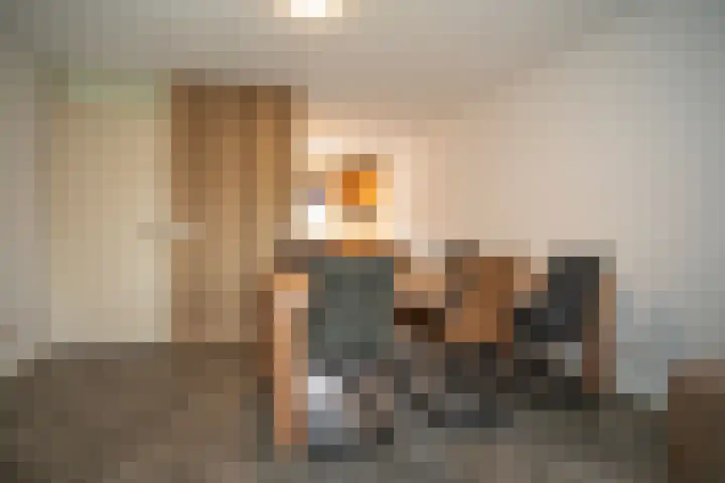 Haghoeksweg 18 Almelo thumbnail 12
