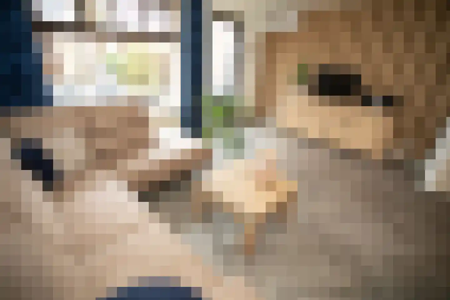 Haghoeksweg 18 Almelo thumbnail 15