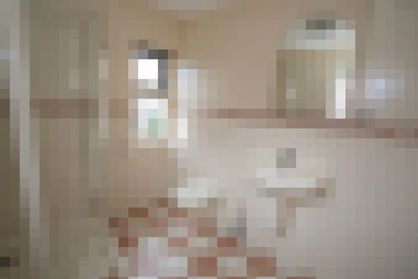 Haghoeksweg 18 Almelo thumbnail 18