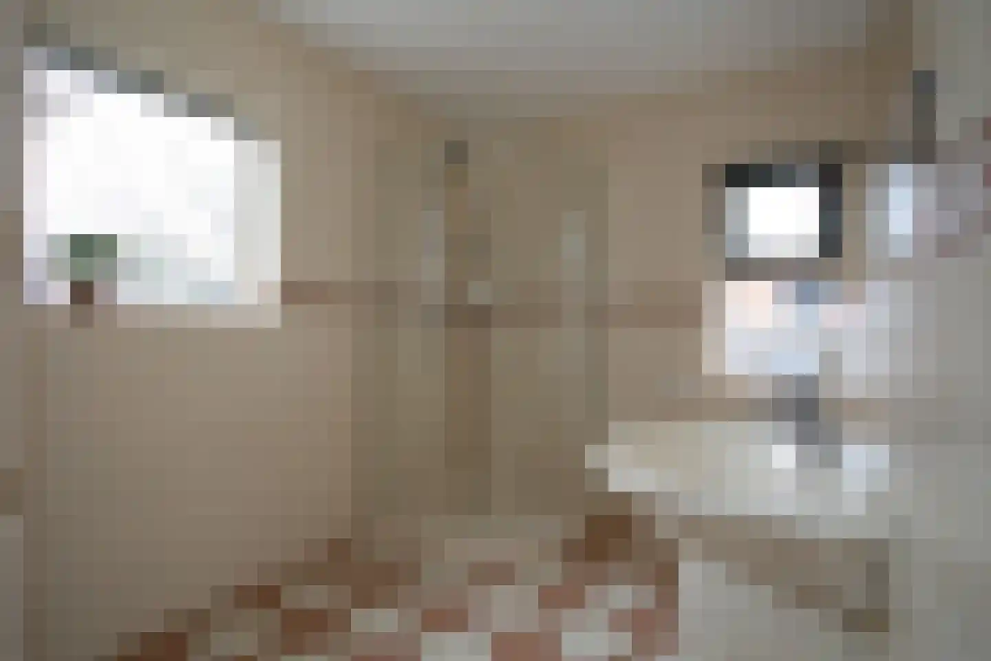 Haghoeksweg 18 Almelo thumbnail 19