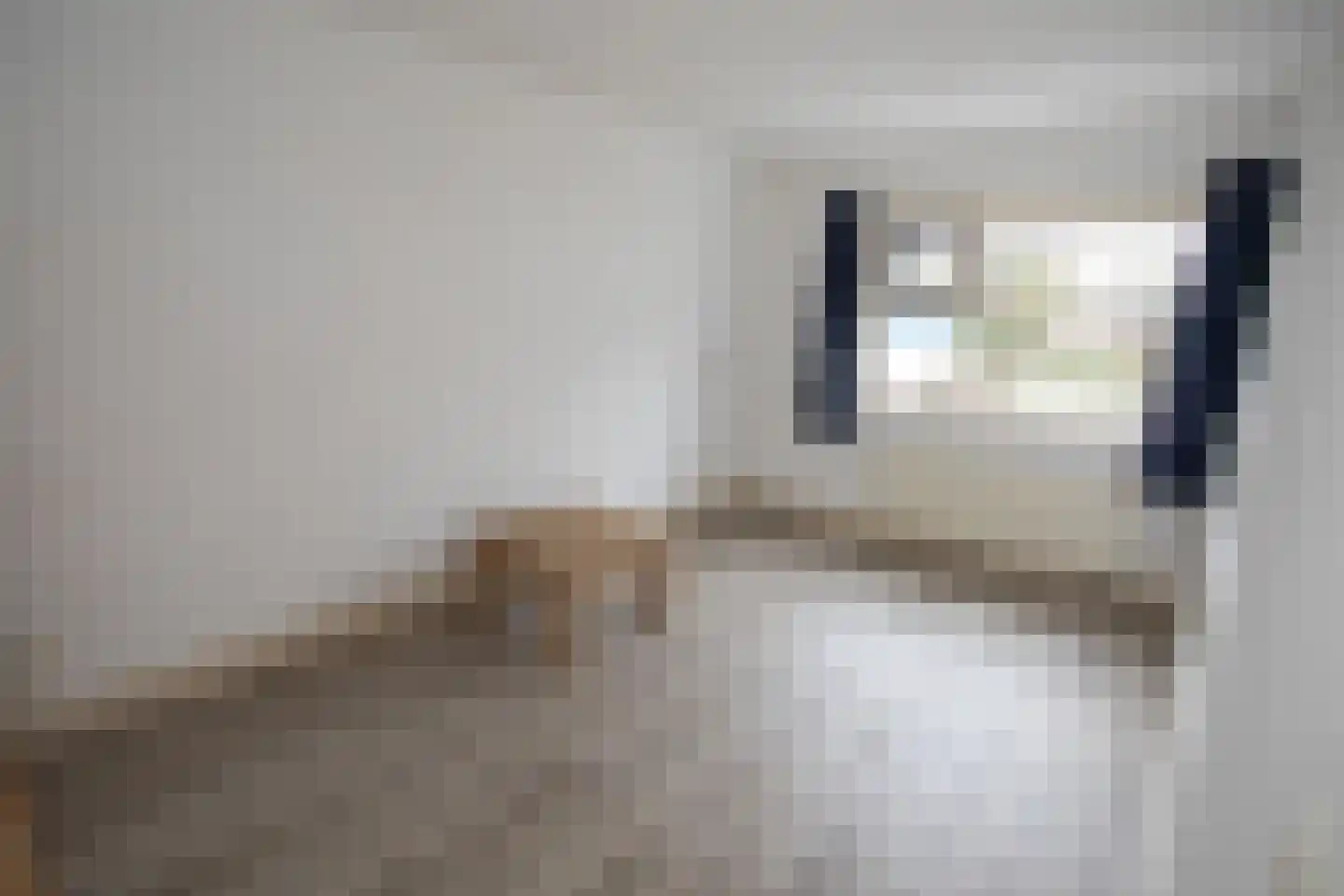 Haghoeksweg 18 Almelo thumbnail 23