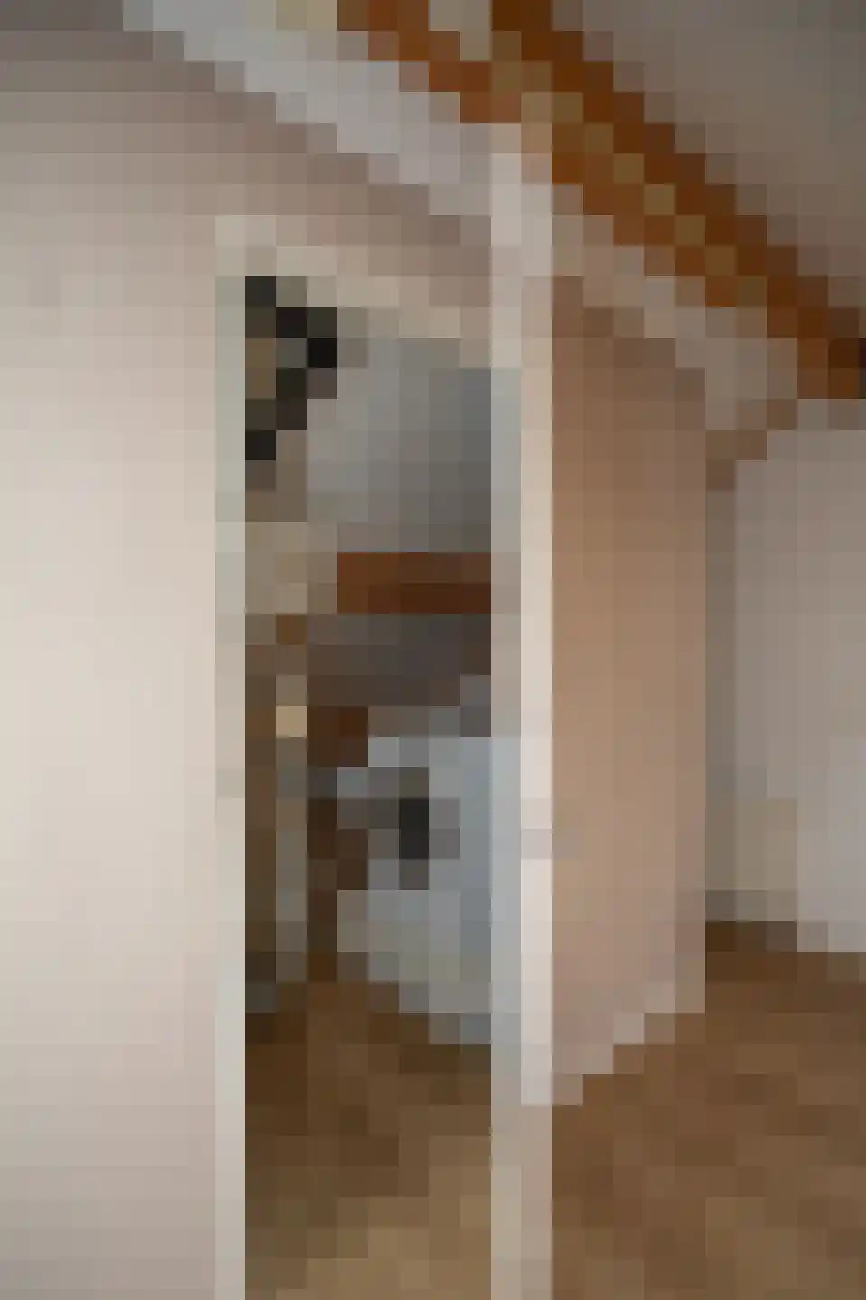 Haghoeksweg 18 Almelo thumbnail 30