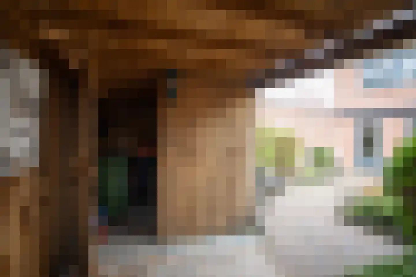 Haghoeksweg 18 Almelo thumbnail 33
