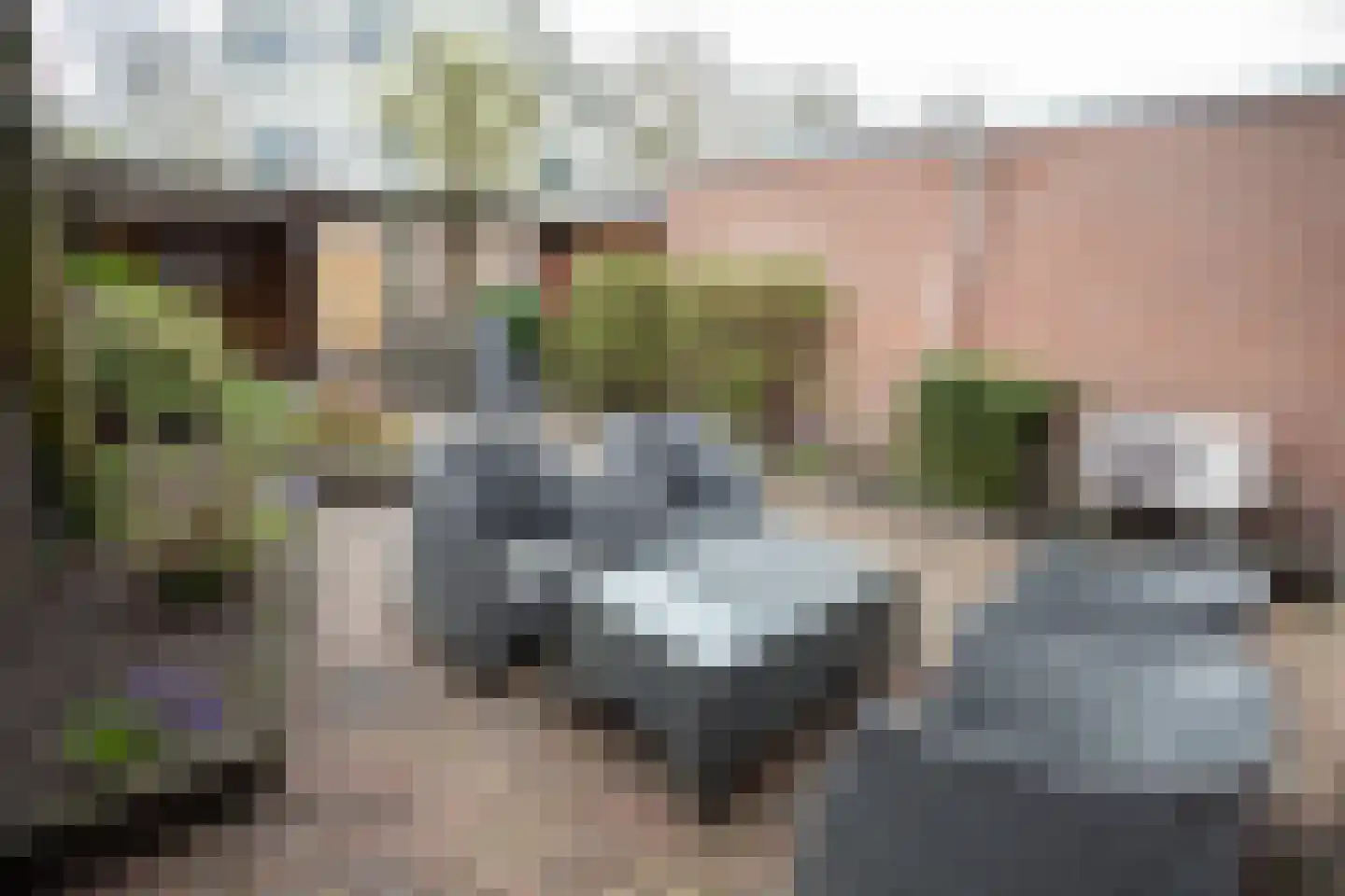Haghoeksweg 18 Almelo thumbnail 34