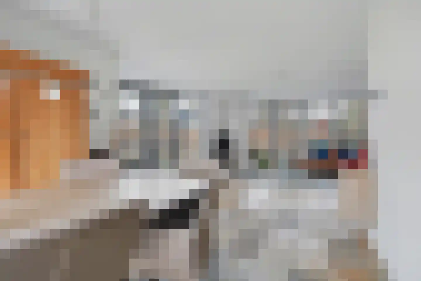 Haghoeksweg 32 Almelo thumbnail 13