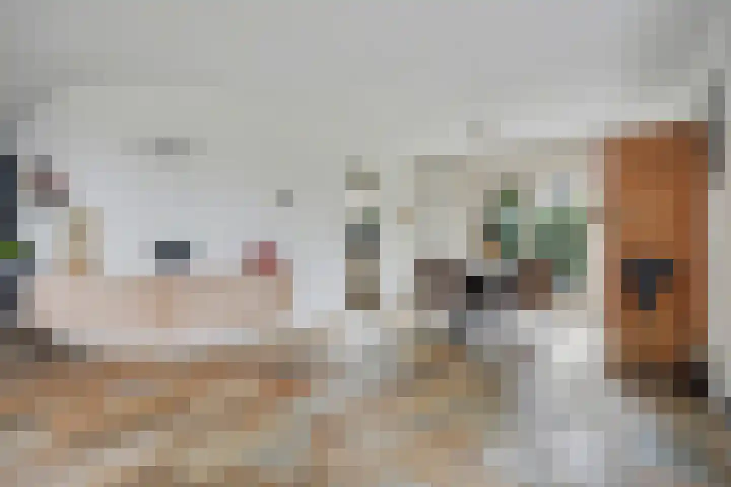 Haghoeksweg 32 Almelo thumbnail 14