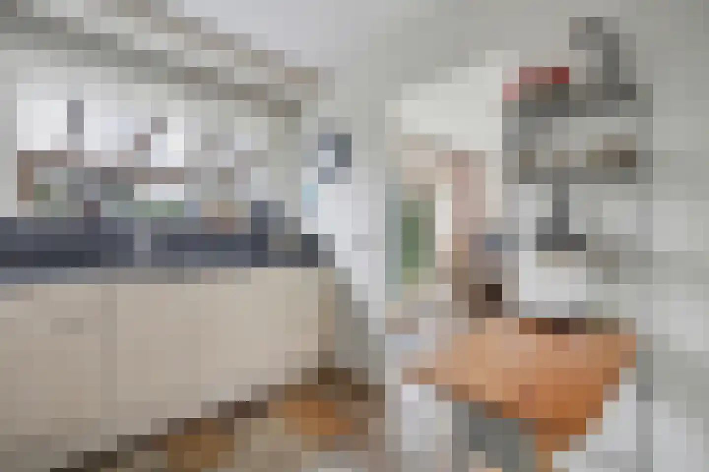 Haghoeksweg 32 Almelo thumbnail 15