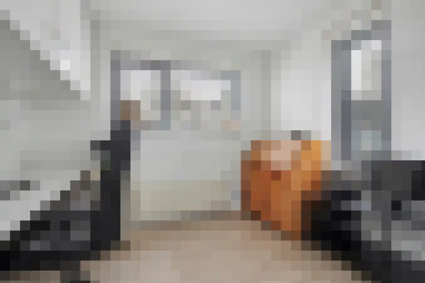 Haghoeksweg 32 Almelo thumbnail 25