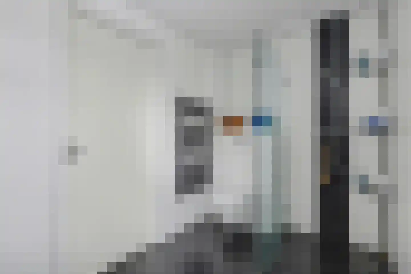 Haghoeksweg 32 Almelo thumbnail 27