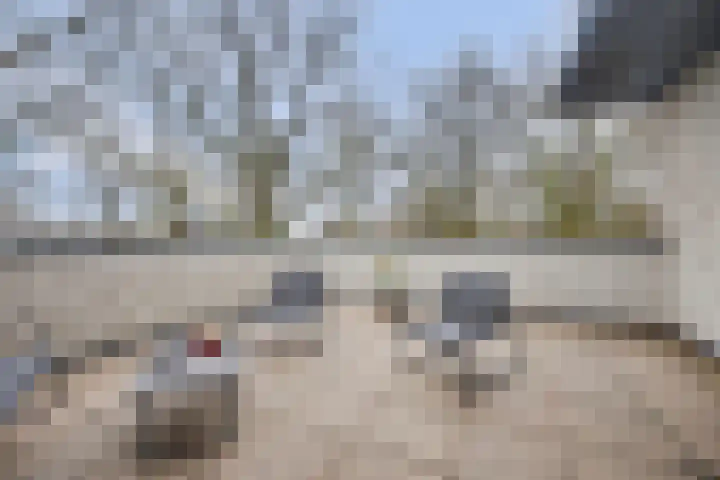 Haghoeksweg 32 Almelo thumbnail 35