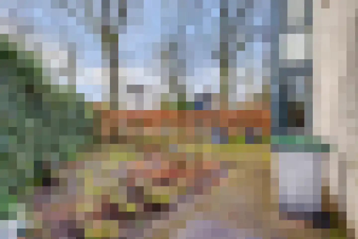 Haghoeksweg 32 Almelo thumbnail 38