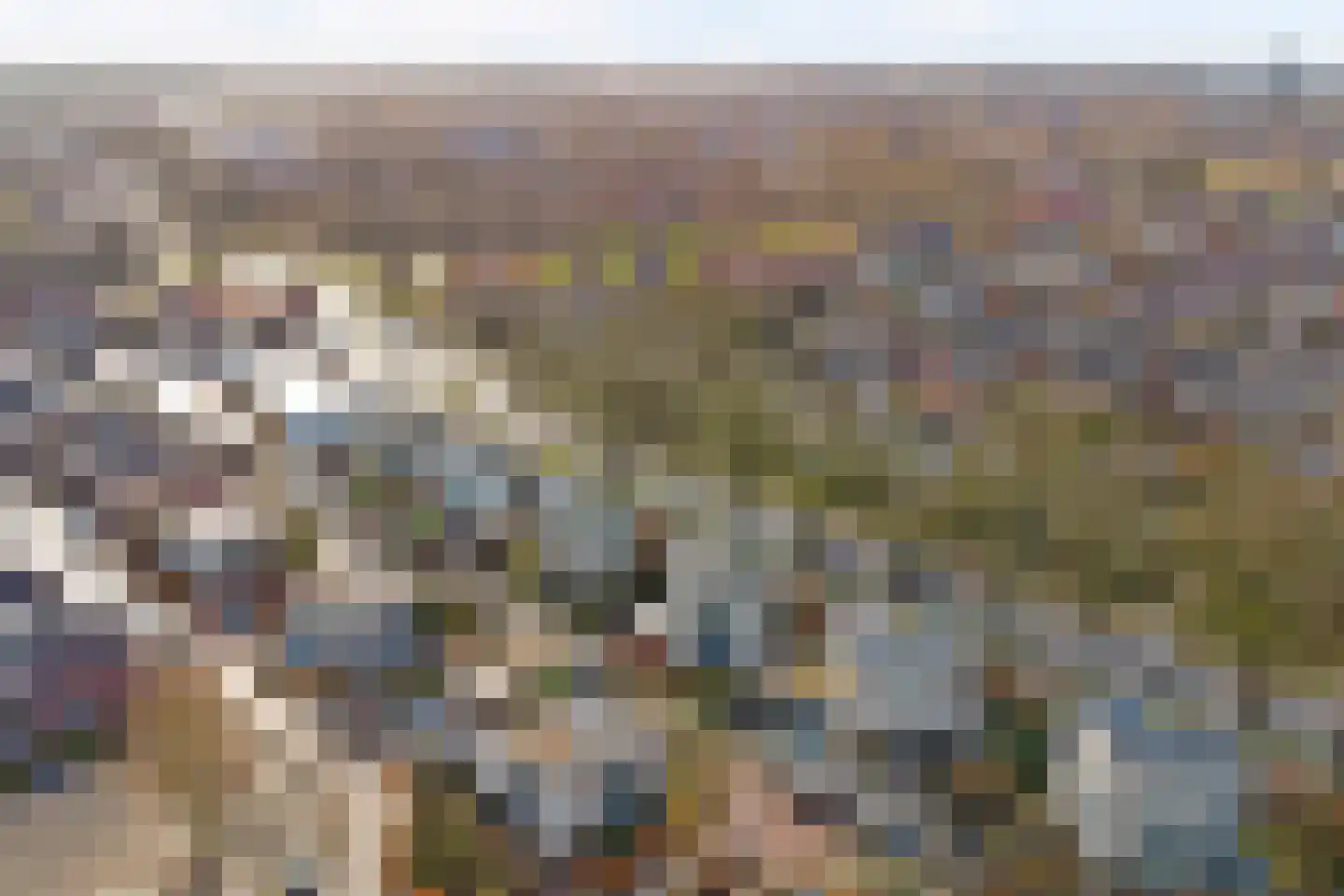 Haghoeksweg 32 Almelo thumbnail 46