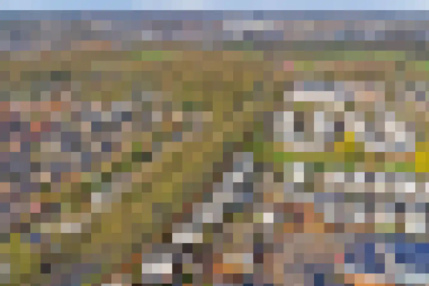 Haghoeksweg 32 Almelo thumbnail 47