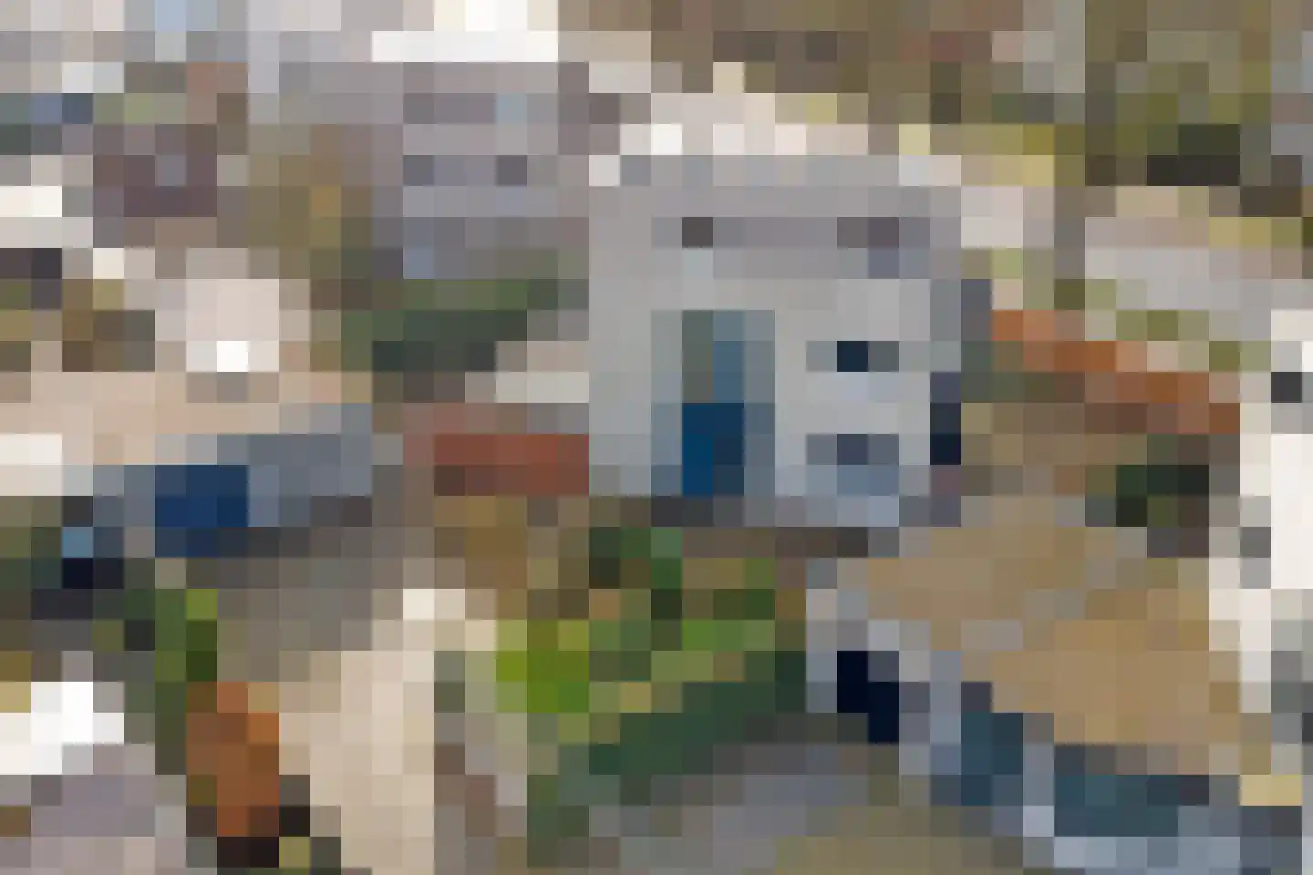 Haghoeksweg 32 Almelo thumbnail 48