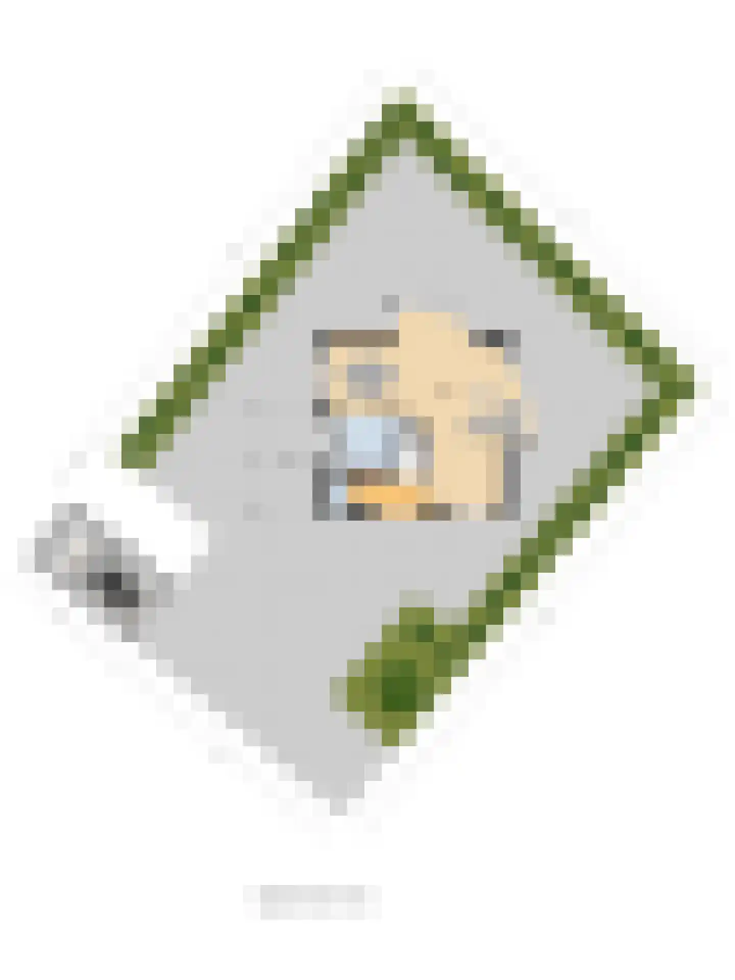 Haghoeksweg 32 Almelo thumbnail 49