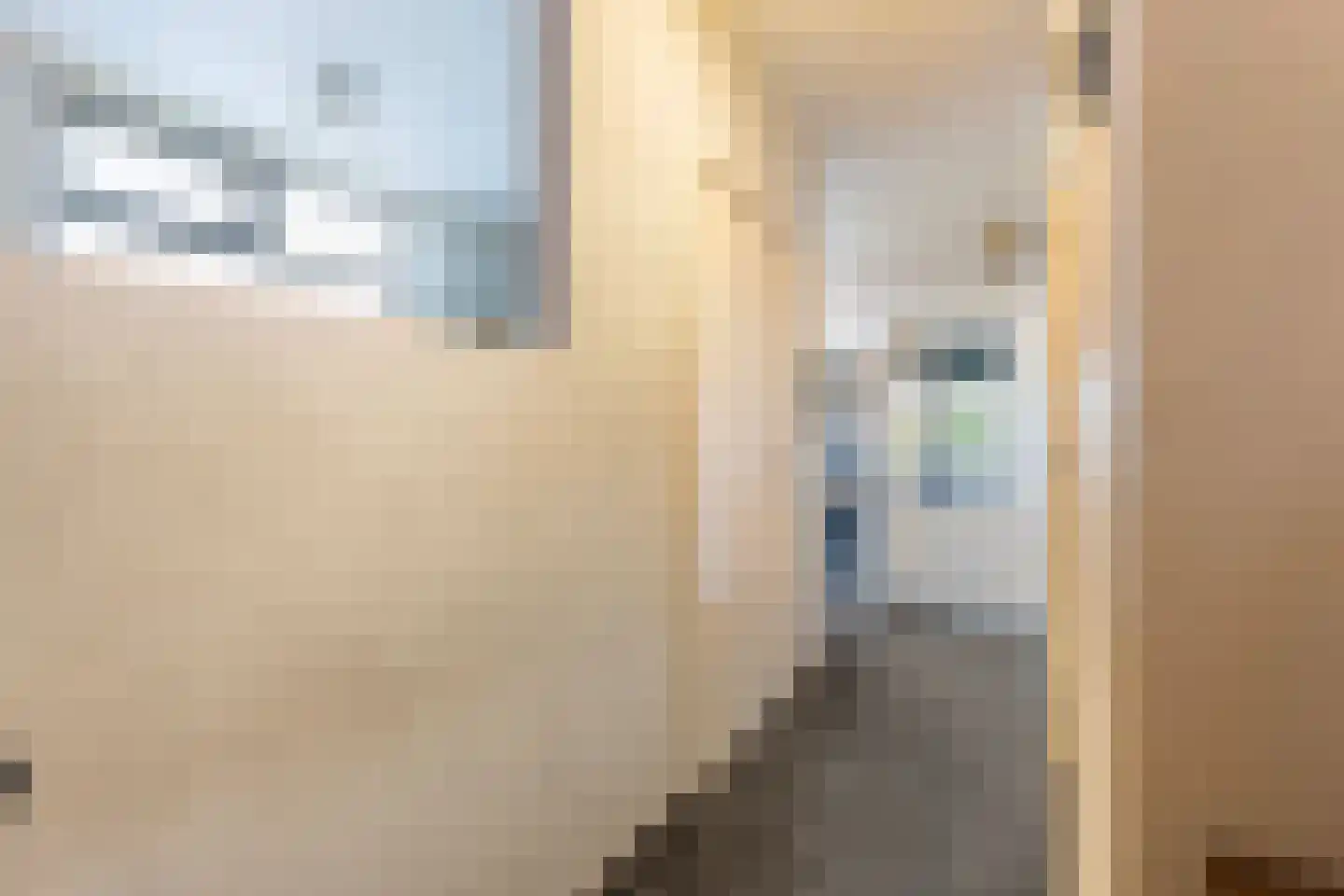 Haghoeksweg 37 Almelo thumbnail 13