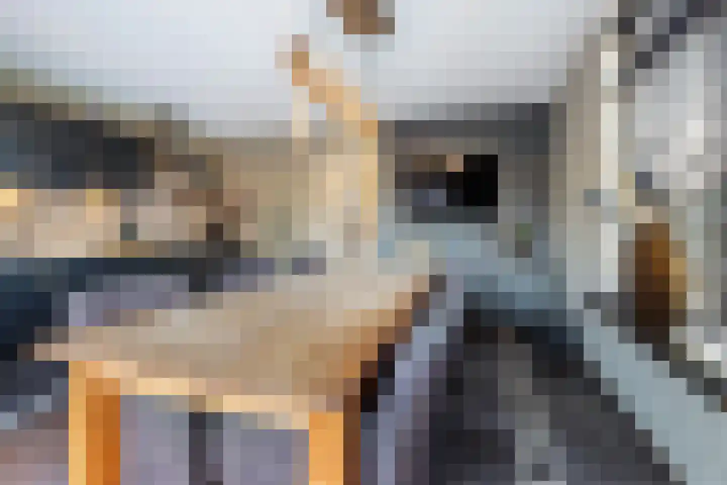 Haghoeksweg 37 Almelo thumbnail 17