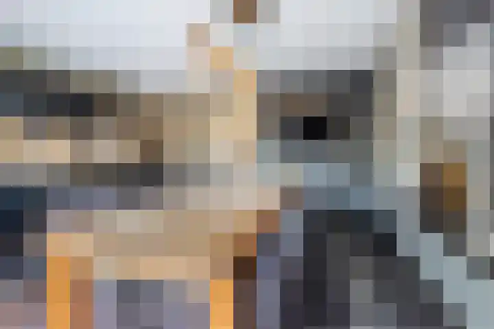 Haghoeksweg 37 Almelo thumbnail 19
