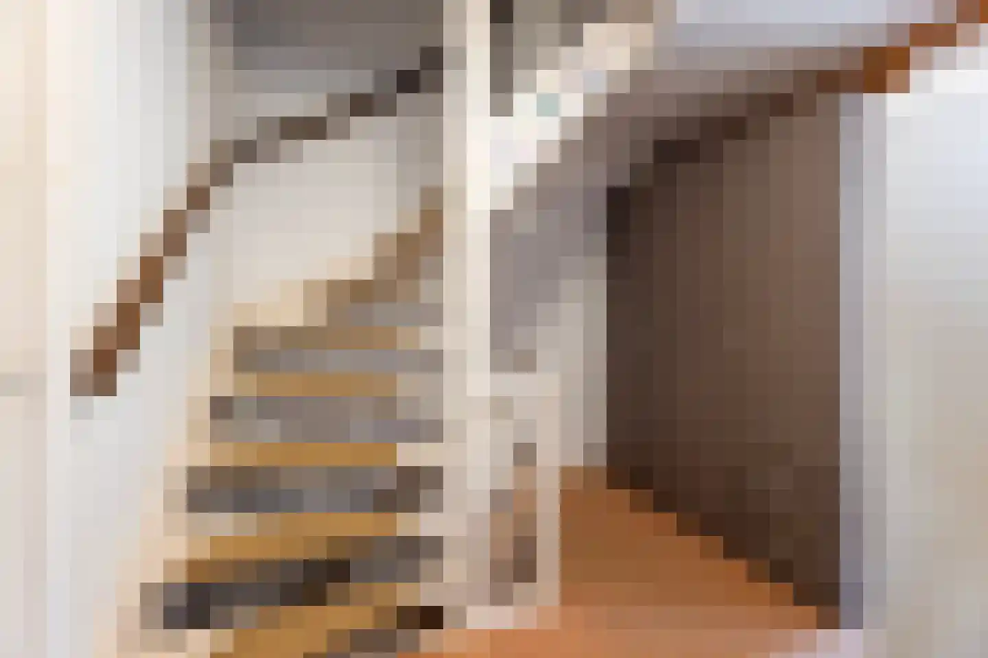 Haghoeksweg 37 Almelo thumbnail 24