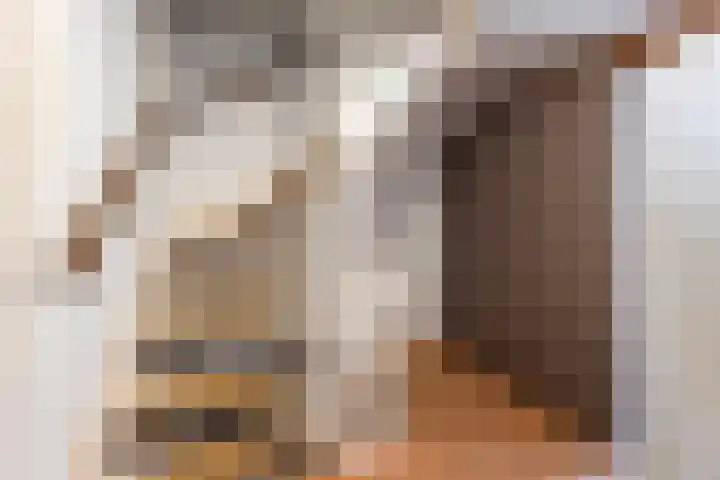 Haghoeksweg 37 Almelo thumbnail 26