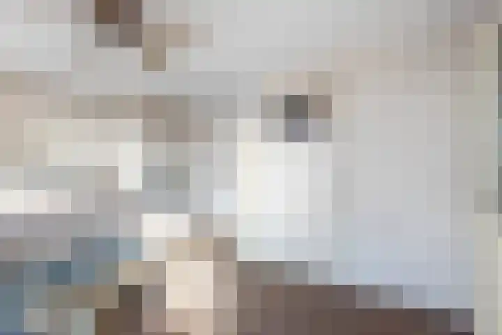 Haghoeksweg 37 Almelo thumbnail 28