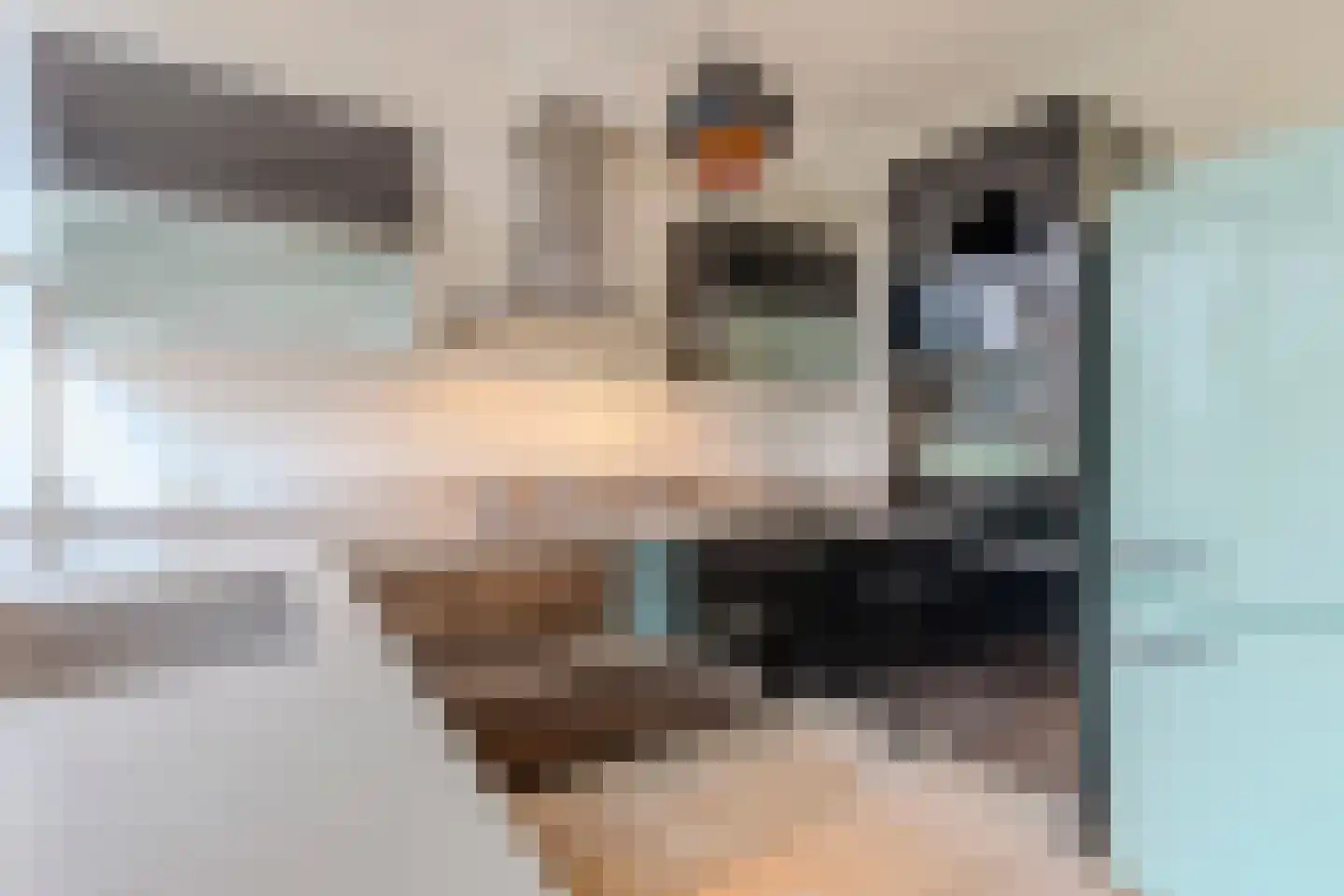 Haghoeksweg 37 Almelo thumbnail 29